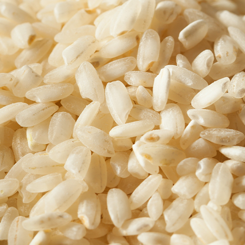 Arborio rice