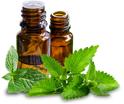 Mint Oil