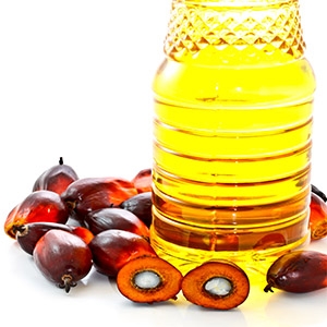 Palm Olein Oil