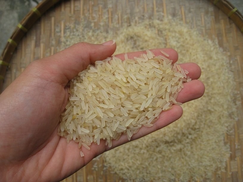 Thai Parboiled Rice