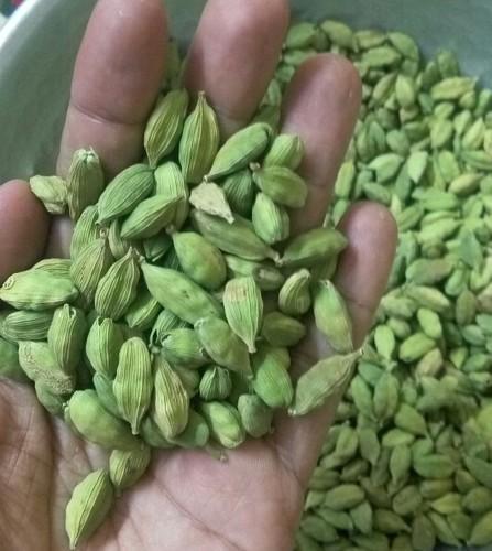 Green Cardamom 8mm