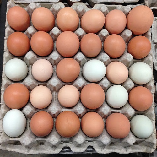 White and Brown Chicken Eggs