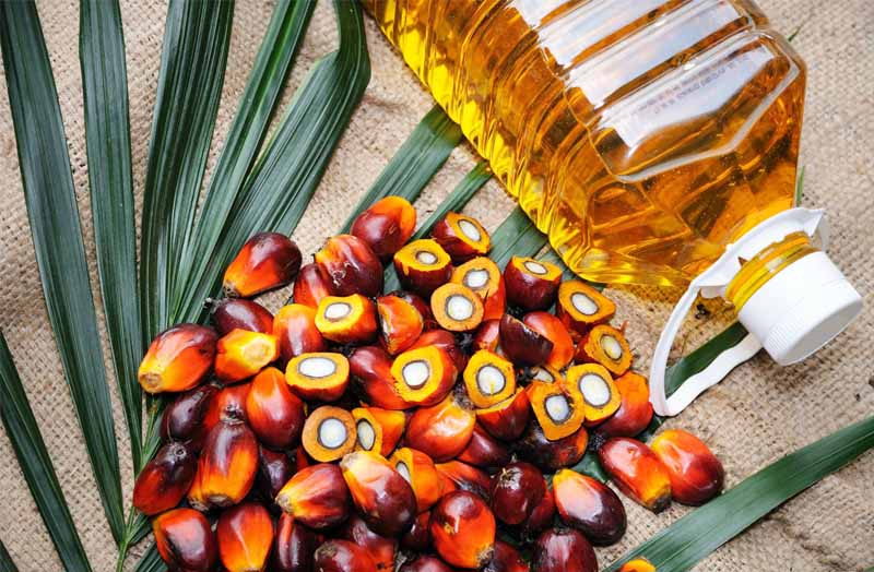 Palm oil